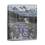Тетрадь А5 48л.кл.LOREX LXCBCL-SMS Summertime sadness лак.soft ассорти Тетрадь А5 48л.кл.LOREX LXCBCL-SMS Summertime sadness лак.soft ассорти