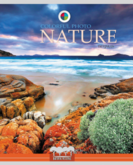 Тетрадь А5  48л.кл.ПРОФ-ПРЕСС 48Г-0001 ЦВЕТНЫЕ ПЕЙЗАЖИ холст с блестк.ассорти